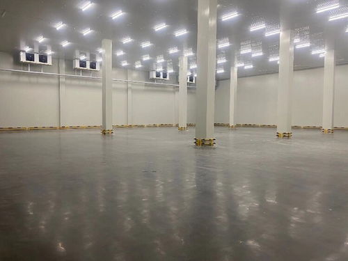 貨運(yùn)物流中的信譽(yù)與專業(yè)服務(wù) 化工品、冷鏈整車與零擔(dān)運(yùn)輸解析