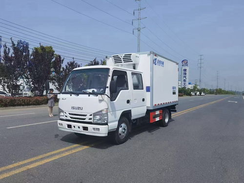 石家莊躍進(jìn)柴油版3米3冷凍車 高效環(huán)保的冷鏈運(yùn)輸選擇